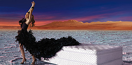 Publicidad_rosen2